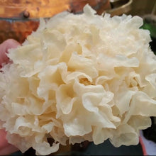 Load image into Gallery viewer, Soothing Rose Plumping Toner with Snow Mushroom
